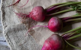 come coltivare le barbabietole