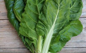 come coltivare le bietole