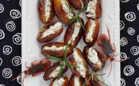 sognare gli insetti significato