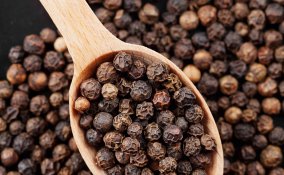 come coltivare il pepe nero