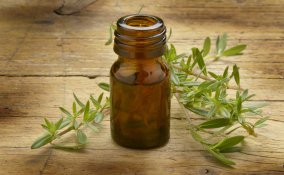 santoreggia proprietà e usi