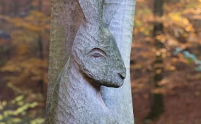 sognare conigli cosa significa