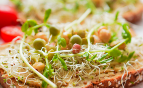 Usare il germogliatore: piccola guida alla coltivazione dei germogli in casa