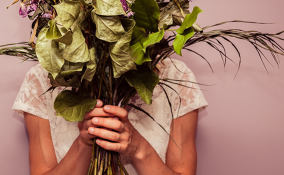 Crea un angolo verde in casa