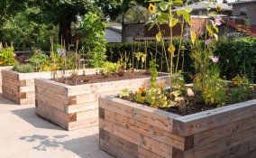 come organizzare un orto sinergico