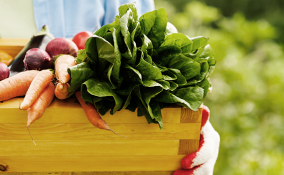 La frutta e verdura di stagione a giugno