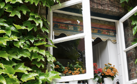 I mille vantaggi della siepe sintetica