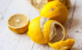 rimedi naturali mosche