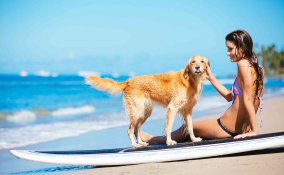 Si possono portare i cani in spiaggia e sulla battigia?