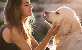 4 consigli per preparare una vacanza pet-friendly