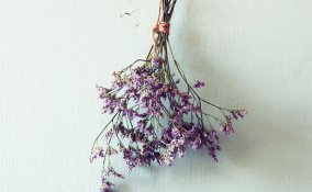 come essiccare fiori