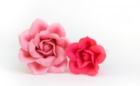 cake design san Valentino come fare una rosa in pasta di zucchero, come fare una rosa in pasta di zucchero, cake design San Valentino