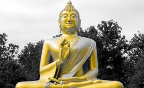 francesco gabbani, video, sanremo 2017