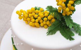 festa della donna, cake design, decorazioni cake design, pasta di zucchero, 8 marzo