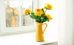 shopping, 8 marzo, festa donna