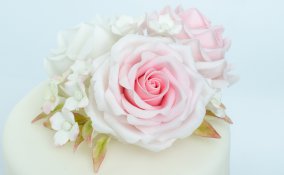 come lavorare pasta di zucchero, attrezzi pasta di zucchero, attrezzi cake design