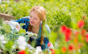 cosa coltivare ad aprile, coltivare aprile, orto di primavera