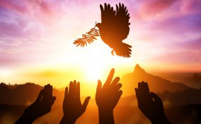 giornata mondiale pace, giornata internazionale pace, frasi pace