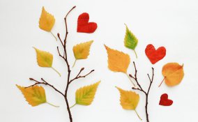 lavoretti foglie secche, lavoretti autunno bambini