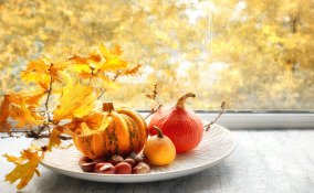 addobbi autunnali finestre, decorazioni autunnali fai da te