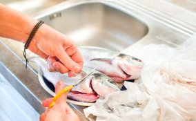 come pulire pesce appena pescato, pulire pesce
