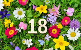 auguri 18 anni, frasi 18 anni