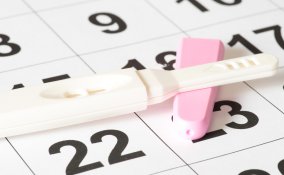 calendario, ovulazione