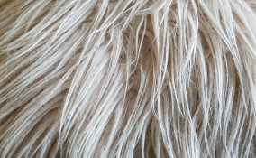 tappeti pelo lungo pulizia