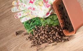 argilla espansa giardinaggio, argilla espansa cos’è