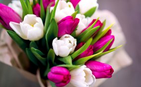 fiori festa donna, regali festa donna