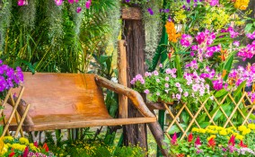 fiori estivi giardino, fiori estivi