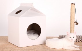 casetta gatti fai da te