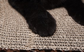 tiragraffi fai da te, tiragraffi fai da te cartone