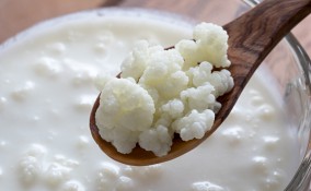 kefir, probiotici