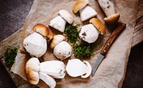 pulire funghi porcini