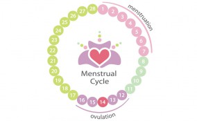 si può rimanere incinta durante ciclo, incinta durante mestruazioni