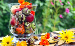 addobbi autunnali casa