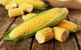 cucina, pannocchie, mais