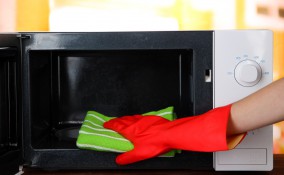 pulizia, forno, microonde
