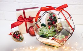cosa regalare a natale, cosa regalare a chi ama giardinaggio, idee regalo per chi ama i fiori