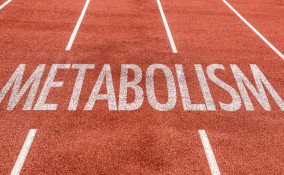 metabolismo basale