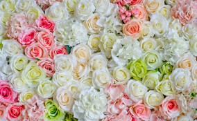 come fare parete fiori, parete fiori fai da te