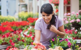 come fare ad avere pollice verde, avere pollice verde