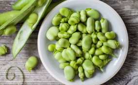 fave fresche, come cucinarle, ricette