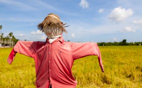 spaventapasseri fai da te, come fare spaventapasseri, spaventapasseri materiali riciclati 