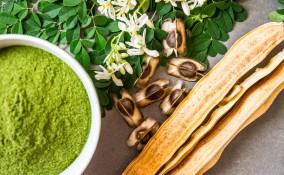 moringa oleifera, proprietà cosmetiche, proprietà dimagranti