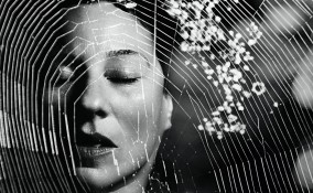 sognare, ragni, ragnatele