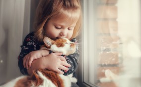 giochi gentilezza bambini, giochi gentilezza, giornata gentilezza