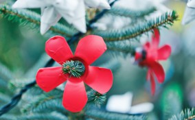 decorazioni natalizie materiali riciclo, decorazioni natalizie materiale riciclato, decorazioni natalizie idee