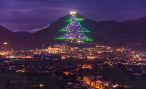 Albero di Gubbio